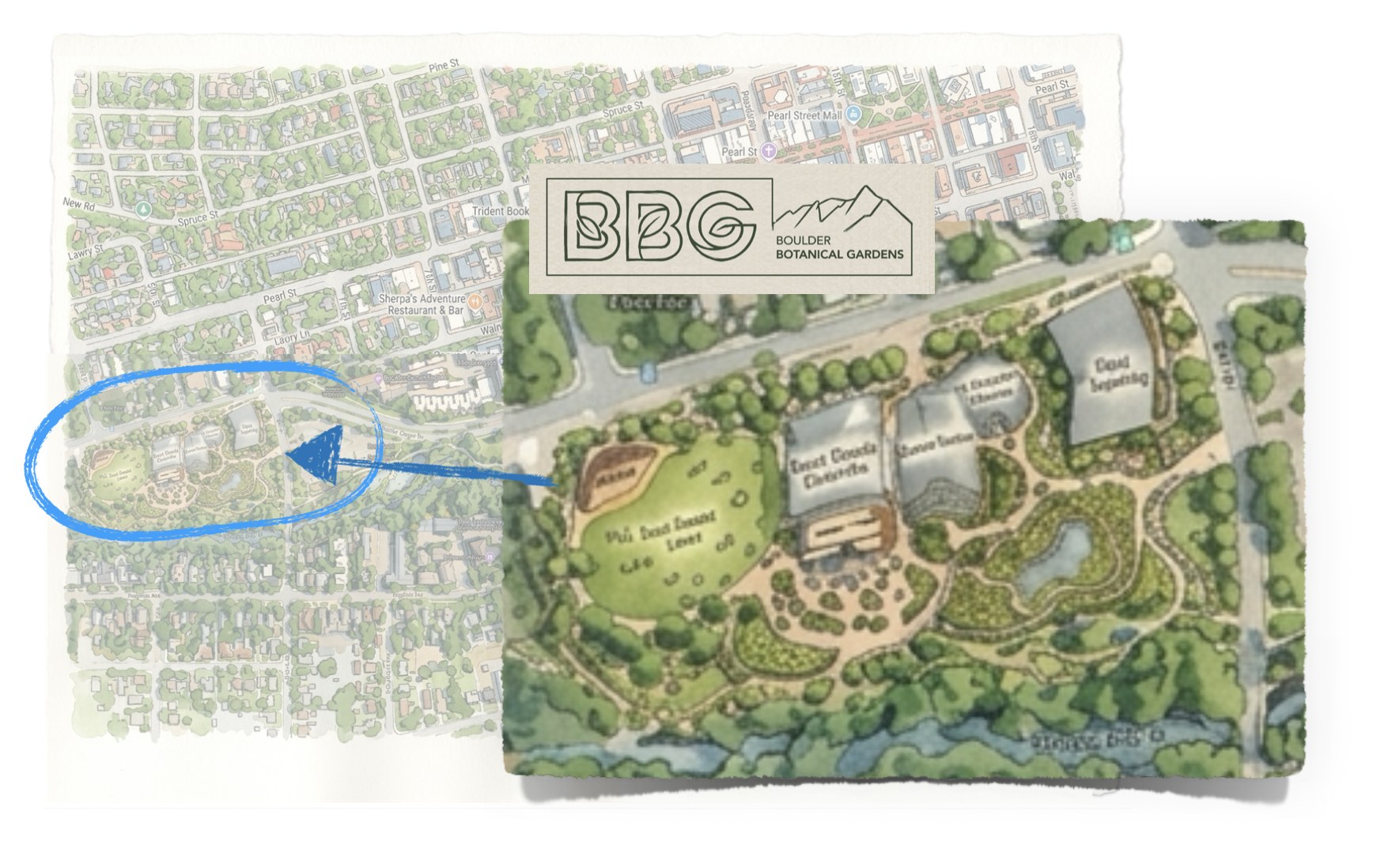Map of downtown Boulder with the garden site circled at 6th and Canyon, west of Pearl Street, and an enlarged watercolor plan of the garden showing the lawn, buildings and pond above Boulder Creek